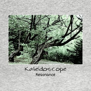 Kaleidoscope Therapy Resonance T-Shirt